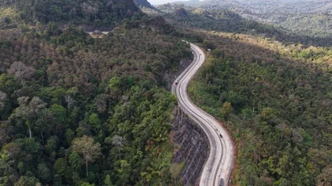 Peaceful Pre-Summer Mountain Forest Road Stock Footage 327508390