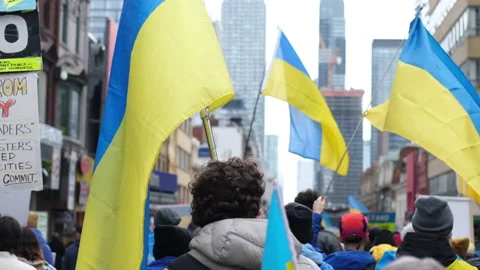 Peaceful protest, march. Stock Footage 176058476