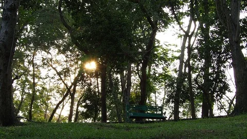 Peaceful public park for exercise and rest in evening city Stock Footage 113607586