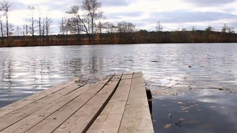 Peaceful river and forest	 Stock Footage 124008612