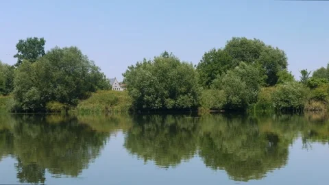 Peaceful river and reflection of green trees Stock Footage 343543261