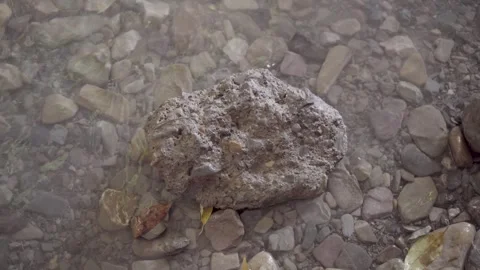 Peaceful River Flow Around a Single Stone Stock Footage 313570897