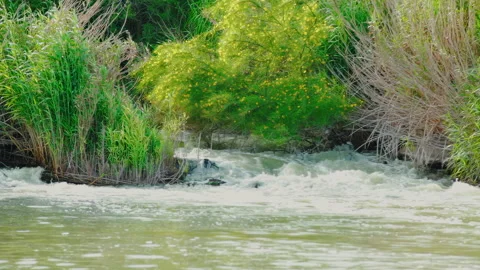 Peaceful River Flow in the Rio Grande Valley - Texas Waterfall Stock Footage 305278364