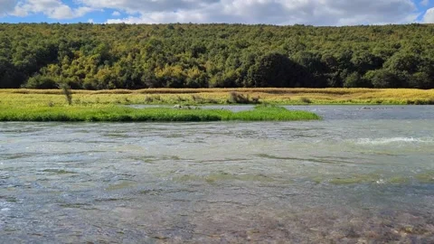 Peaceful river flowing in the middle of a lush green forest. Stock Footage 346597120