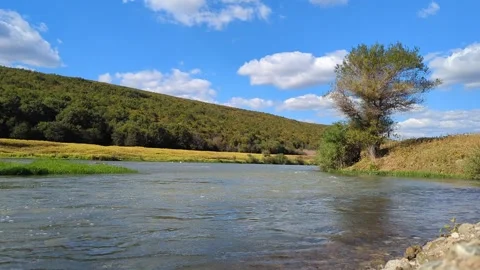 Peaceful river flowing in the middle of a lush green forest. Stock Footage 346597136