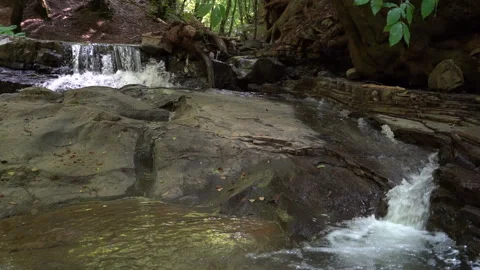 Peaceful River Flowing Through Forest – Slow Motion Cinematic Shot Stock Footage 311731090