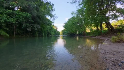 Peaceful River Flowing Through Lush Greenery Stock Footage 312059329