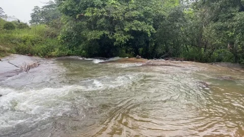 Peaceful River Flowing Through Lush Green Nature Serene Freshwater Landscape Stock Footage 340591490