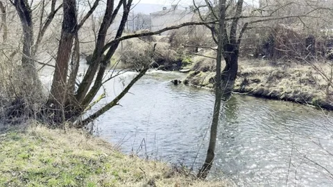 Peaceful River Flowing Through Spring Forest Landscape Vídeo Stock 331939007