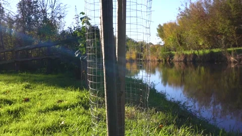 A peaceful river flows past a lush green grassy bank, with sun rays illumin.. Stock Footage 321918232