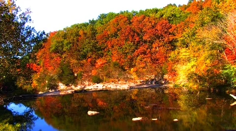 Peaceful River Video stock 904960