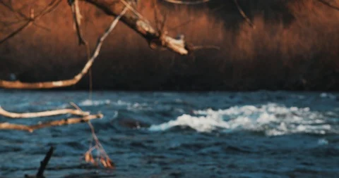 Peaceful River Video stock 122060714