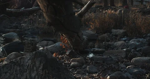 Peaceful River Video stock 122111948