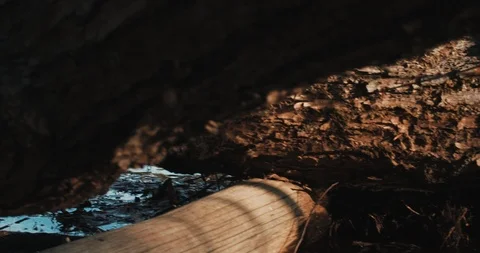 Peaceful River Video stock 122116098