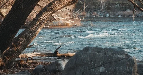 Peaceful River Video stock 122118266