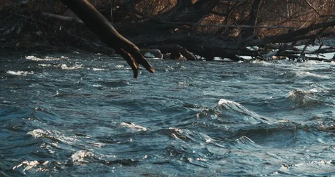 Peaceful River Video stock 122130014