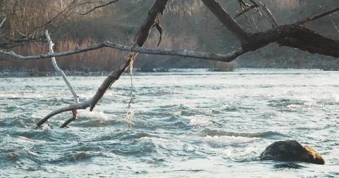 Peaceful River Video stock 122132334