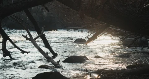 Peaceful River Video stock 122136177