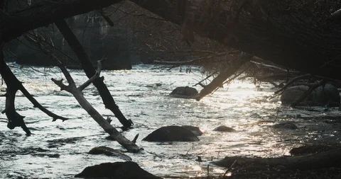 Peaceful River Video stock 122142189