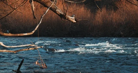 Peaceful River Video stock 122146717