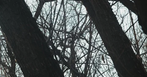 Peaceful River Video stock 122154009