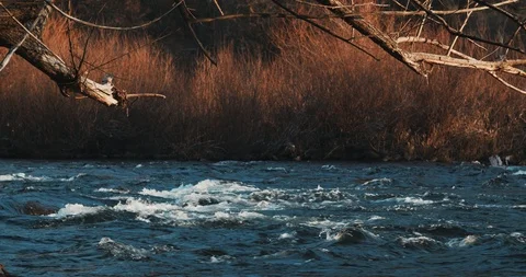 Peaceful River Video stock 122156893