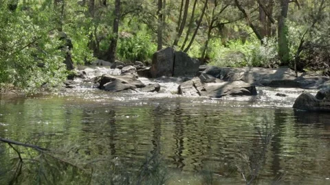 Peaceful river Video stock 163808366