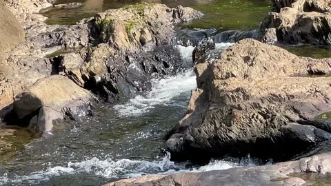 Peaceful River Stock Footage 203897953