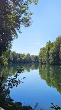 Peaceful river with green forest reflections on a bright sunny day Stock Photos