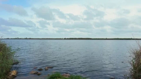 Peaceful river landscape in the Ebro Delta with calm water, Stock Footage 344803925