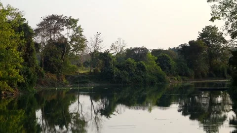 Peaceful River Reflection with Dense Green Trees Stock Footage 328340816