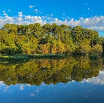 Peaceful River Scene with Trees Under Clear Sky Stock Photos