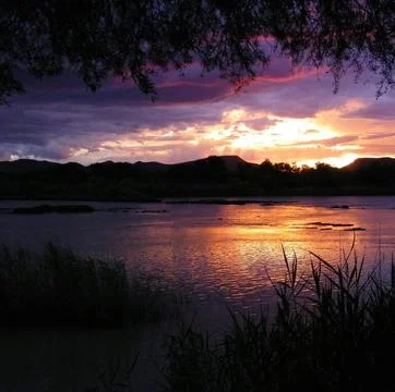 Peaceful River Scene with Trees Under Clear Sky Stock Photos