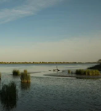 Peaceful River Scene with Trees Under Clear Sky Stock Photos