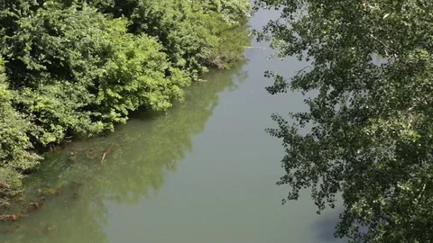 Peaceful river scenery Stock Footage 80867019
