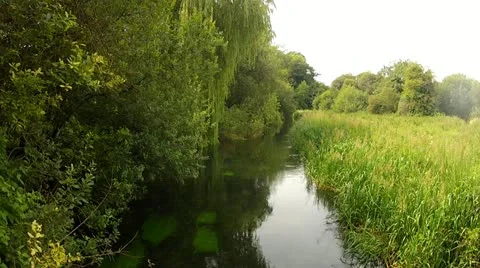Peaceful River - Slight Mist Stock Footage 11858017