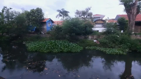 Peaceful River in Town Stock Footage 333985558