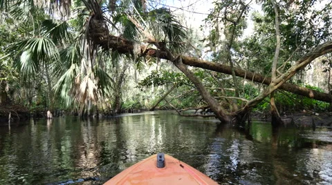 Peaceful river with trees from a Canoe Stock Footage 60401304