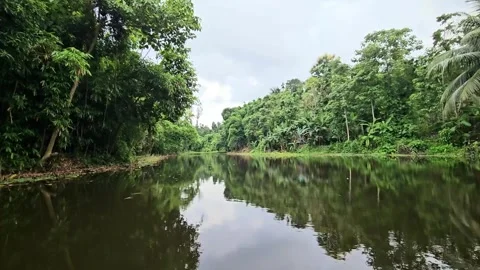 Peaceful River View from a Moving Boat Stock Footage 340237202