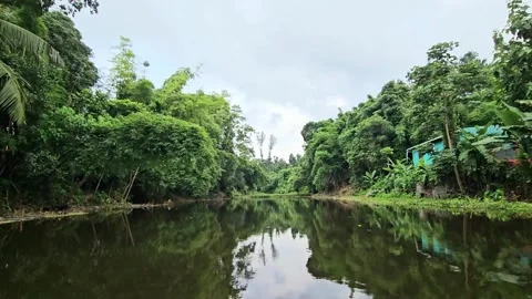 Peaceful River View from a Moving Boat Stock Footage 340237326