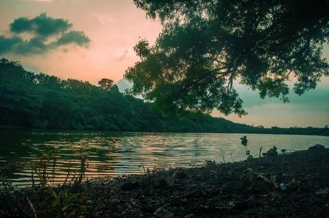 Peaceful river view surrounded by lush green trees at sunset, with calm wat.. Foto stock