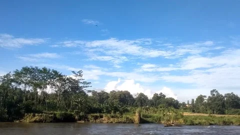 Peaceful Riverside Landscape 스톡 동영상 335081524