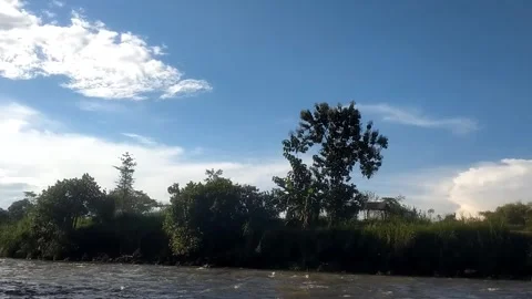Peaceful Riverside Landscape under the Blue Sky Vídeo Stock 335080503