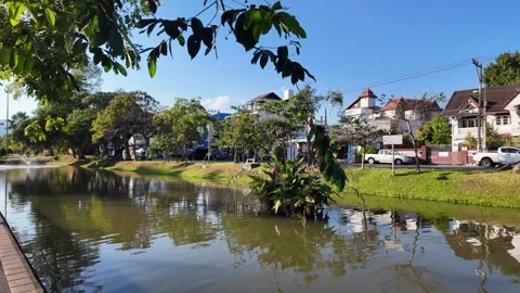 Peaceful Riverside View of Ping River in Chiang Mai, Thailand Видео 331638978