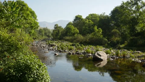 Peaceful Rocky River Flowing Through Green Forest Near Shri Girija Dhaam Rampur Stock Footage 346369462