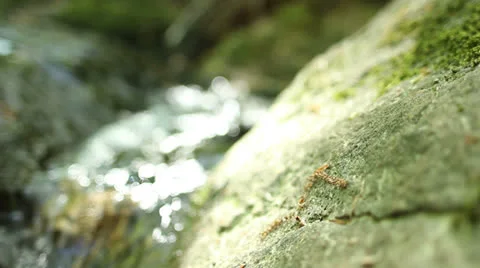 Peaceful rushing water two Stock Footage 22872973