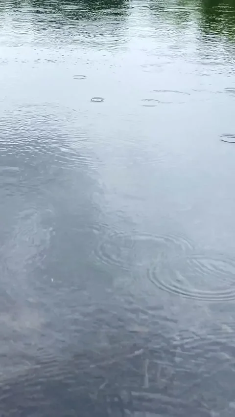 Peaceful scene of light raindrops falling on a lake Stock Footage 287898439