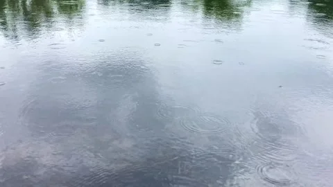 Peaceful scene of light raindrops falling on a lake Stock Footage 287898558