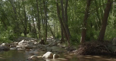 A Peaceful Scene Of A River, Trees And Stones Stock Footage 137616963