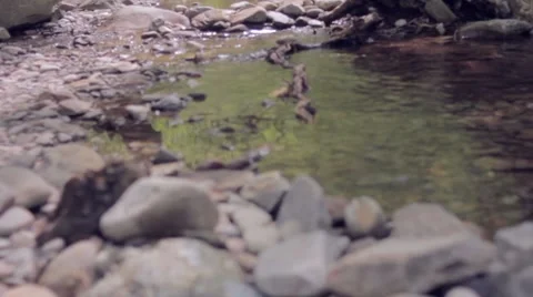 Peaceful Scenic Video stock 7766255